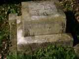 image of grave number 16696